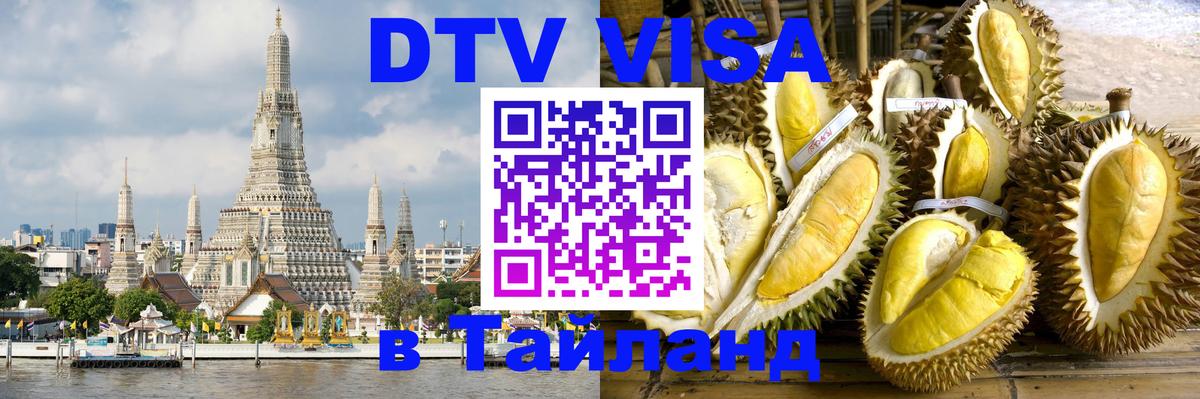 Сколько стоит DTV виза — актуальные цены, оформление даже без документов - 09.01.2026 